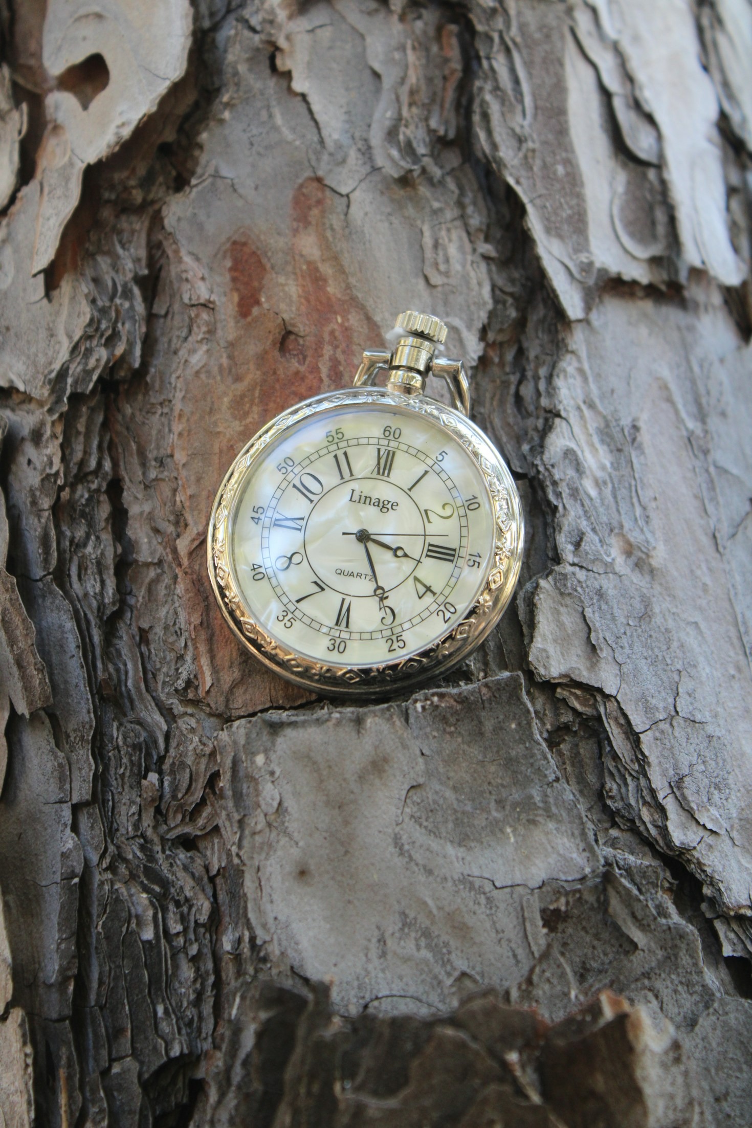 Choosing the Perfect Restored Watch: Tips and Tricks